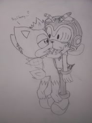 Size: 2128x2832 | Tagged: safe, artist:samarragothika8, charmy bee, chip, 2009, blushing, charmy x chip, crack shipping, dialogue, duo, english text, flapping wings, flirting, flying, gay, hands on another's face, heart, lidded eyes, line art, looking at each other, monochrome, mouth open, pencilwork, shipping, smile, traditional media