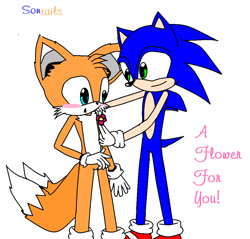 Size: 962x918 | Tagged: safe, artist:samarragothika8, miles "tails" prower, sonic the hedgehog, 2008, blushing, duo, english text, flat colors, flower, gay, looking at each other, mouth open, offering flower, ship name, shipping, simple background, smile, sonic x tails, standing, white background