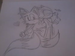 Size: 1280x960 | Tagged: safe, artist:ashandamber, miles "tails" prower, sonic the hedgehog, 2014, blushing, cute, duo, eyes closed, flower, gay, hands together, heart, holding something, looking at viewer, monochrome, pencilwork, rose, sfx, shipping, smelling flower, smile, sniffing, sonic x tails, standing, traditional media