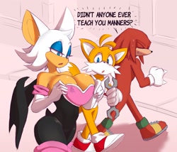 Size: 2345x2004 | Tagged: safe, artist:phrendraws, knuckles the echidna, miles "tails" prower, rouge the bat