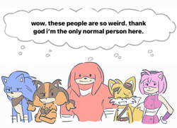 Size: 1080x782 | Tagged: safe, artist:tomiyeee, amy rose, knuckles the echidna, miles "tails" prower, sonic the hedgehog, sticks the badger, 2024, english text, group, simple background, sonic boom (tv), thought bubble, white background