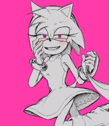 Size: 1780x2048 | Tagged: safe, artist:m3ri2310, amy rose, blaze the cat, amy x blaze, holding something, implied blaze, leash, monochrome, offscreen character, pink background, shipping, simple background, solo