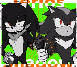 Size: 2048x1785 | Tagged: safe, artist:m3ri2310, shadow the hedgehog, character name, duo, terios the hedgehog