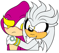 Size: 1280x1142 | Tagged: safe, artist:emmy-the-absolute-goof, espio the chameleon, silver the hedgehog, hedgehog, blushing, bust, chameleon, cute, duo, espibetes, flat colors, frown, gay, holding them, looking ahead, looking at them, looking offscreen, shipping, silvabetes, silvio, simple background, white background