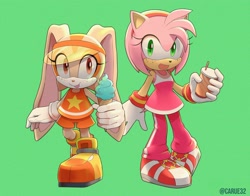 Size: 3000x2354 | Tagged: safe, artist:caruel_art, amy rose, cream the rabbit, riders outfit