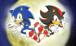 Size: 1147x697 | Tagged: safe, artist:hedgecatdragonix, shadow the hedgehog, sonic the hedgehog