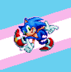 Size: 768x776 | Tagged: safe, artist:pepelogoo, sonic the hedgehog, 2019, adventure pose, looking at viewer, outline, pixel art, pride, pride flag background, smile, solo, trans pride