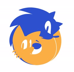 Size: 2048x2000 | Tagged: safe, artist:thatbirdguy_, miles "tails" prower, sonic the hedgehog, 2024, duo, logo, looking at viewer, simple background, white background