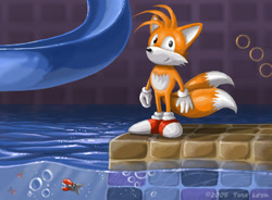 Size: 750x551 | Tagged: safe, artist:jaxxblackfox, miles "tails" prower, hydrocity zone, 2005, abstract background, bubble, chopper, classic tails, lineless, looking at viewer, ring, robot, signature, slide, smile, solo, sonic the hedgehog 3, standing, water
