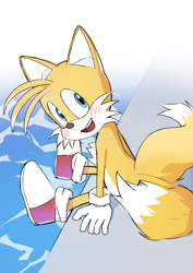 Size: 2894x4093 | Tagged: safe, artist:ぐるぐるる（メイン）, miles "tails" prower, 2025, abstract background, looking at viewer, looking back, mouth open, outdoors, sitting, smile, solo, water