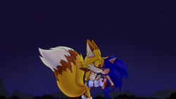 Size: 1920x1080 | Tagged: safe, artist:jeffydust, miles "tails" prower, sonic the hedgehog, 2025, aged up, blushing, cute, daytime, duo, ear fluff, eyes closed, gay, holding hands, kiss, older, outdoors, shipping, sonic x tails, standing, star (sky)