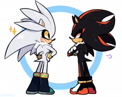 Size: 2047x1627 | Tagged: safe, artist:ohposhers, shadow the hedgehog, silver the hedgehog, 2025, abstract background, arms folded, cute, duo, frown, lidded eyes, shadowbetes, silvabetes, smile, sparkles