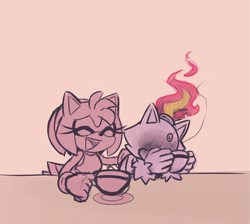 Size: 2935x2625 | Tagged: safe, artist:karl0, amy rose, blaze the cat