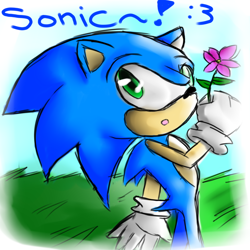 Size: 1000x1000 | Tagged: safe, artist:wendysakana, sonic the hedgehog, 2012, :3, :o, abstract background, character name, daytime, flower, grass, holding something, looking up, mouth open, outdoors, solo, standing