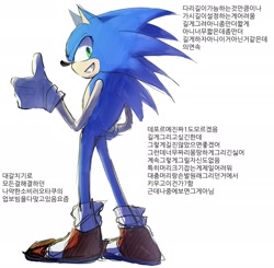 Size: 1783x1747 | Tagged: safe, artist:mieierae201, sonic the hedgehog, grin, korean text, simple background, smile, solo, standing, thumbs up, white background