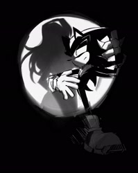 Size: 1627x2048 | Tagged: safe, artist:bdbdi743, maria robotnik, shadow the hedgehog, human, duo, greyscale, monochrome, shadow (lighting), standing