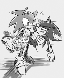 Size: 1292x1570 | Tagged: safe, artist:bdbdi743, shadow the hedgehog, sonic the hedgehog, carrying them, cross popping vein, duo, gay, grey background, greyscale, holding something, looking at each other, monochrome, ring, shadow x sonic, shipping, simple background, smile, standing