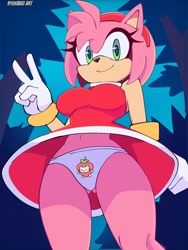 Size: 1536x2048 | Tagged: suggestive, artist:ryukman_art, amy rose, panties