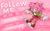 Size: 1280x789 | Tagged: safe, artist:flameheart87, amy rose, hedgehog, alternate outfit, alternate version, clothes, english text, female, solo