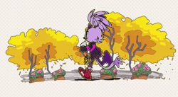 Size: 2026x1112 | Tagged: safe, artist:ikkomaruluv, blaze the cat, 2025, outdoors, running, solo, tree