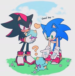 Size: 1949x1993 | Tagged: safe, artist:amanotoo, shadow the hedgehog, sonic the hedgehog, chao, sonic adventure 2, 2023, carrying them, english text, flower, grass, group, heart, looking at them, neutral chao, question mark, smile, soap shoes, standing