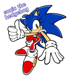 Size: 640x659 | Tagged: safe, artist:emojii_xoxo, sonic the hedgehog, character name, gender swap, what has science done