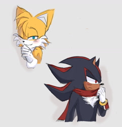 Size: 1948x2020 | Tagged: safe, artist:ashdkysstuff, miles "tails" prower, shadow the hedgehog, frown, gay, grey background, scarf, shadow x tails, shipping, simple background, smile