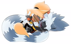 Size: 2048x1288 | Tagged: safe, artist:audiesartcorner, tangle the lemur, whisper the wolf, 2025, blushing, duo, eyes closed, holding each other, kiss, lesbian, shipping, simple background, tangle x whisper, white background