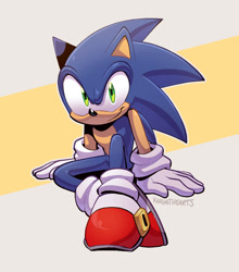 Size: 749x853 | Tagged: safe, artist:scourgefrontier, sonic the hedgehog, 2025, abstract background, signature, sitting, smile, smiling at viewer, solo