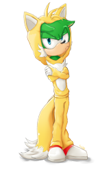 Size: 700x1100 | Tagged: safe, artist:kiiromi, miles "tails" prower, scourge the hedgehog, 2012, arms folded, cosplay, frown, kigurumi, looking at viewer, scourge is not amused, simple background, solo, standing, transparent background, unamused