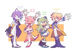 Size: 1440x978 | Tagged: safe, artist:brelooming, bird, cat, dog, sheep, dress, emu otori, female, male, mobianified, nene kusanagi, pants, phoenix, project sekai, rui kamishiro, tsukasa tenma