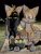 Size: 640x852 | Tagged: safe, artist:nyanman0526, miles "tails" prower, nine, fox, sonic prime, 2024, caption, duo, emoji, front view, irl, looking at them, looking at viewer, meme, mouth open, nighttime, outdoors, photographic background, self paradox, shadowed face, sidewalk, standing, text, why dis x look so mad