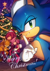 Size: 1448x2048 | Tagged: safe, artist:rero_nn, amy rose, knuckles the echidna, miles "tails" prower, sonic the hedgehog, 2025, abstract background, alternate outfit, bauble, christmas, christmas decorations, christmas hat, christmas outfit, christmas tree, christmas tree topper, clothes, english text, eyes closed, group, hat, holly, indoors, looking at viewer, shooshing, sleeping, snuggling, solo focus, text, tree