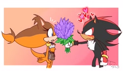 Size: 1725x1000 | Tagged: safe, artist:tr4le, shadow the hedgehog, sticks the badger, badger, hedgehog, 2022, blushing, border, duo, flower, gradient background, heart, holding something, lavender, looking at each other, offering flower, shadsticks, shipping, side view, standing, straight