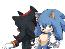 Size: 1024x768 | Tagged: safe, artist:slow_footed8, shadow the hedgehog, sonic the hedgehog, 2025, duo, lidded eyes, simple background, standing, white background