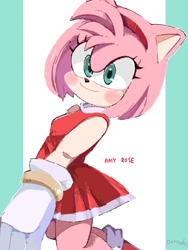 Size: 768x1024 | Tagged: safe, artist:slow_footed8, amy rose, 2025, smile, solo