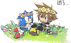 Size: 1459x889 | Tagged: safe, artist:neku_646611, sonic the hedgehog, 2025, crossover, duo, grass, kingdom hearts, looking at each other, looking at them, simple background, sitting, sora (kingdom hearts), white background