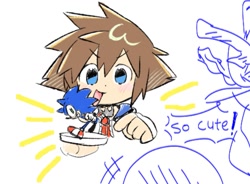 Size: 1257x925 | Tagged: safe, artist:neku_646611, sonic the hedgehog, 2025, amiibo, crossover, english text, holding something, kingdom hearts, simple background, solo, sora (kingdom hearts), white background