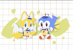 Size: 2048x1418 | Tagged: safe, artist:neku_646611, miles "tails" prower, sonic the hedgehog, 2025, alternate outfit, apron, chibi, classic sonic, classic tails, duo, hat, simple background, smile, standing, white background