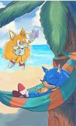 Size: 1229x2048 | Tagged: safe, artist:neku_646611, miles "tails" prower, sonic the hedgehog, 2025, beach, daytime, duo, eyes closed, flying, hammock, holding something, mouth open, outdoors, palm tree, smile, tree