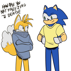 Size: 1500x1500 | Tagged: safe, artist:sockiesock, miles "tails" prower, sonic the hedgehog, fox, hedgehog, 2020, clothes, cold, dialogue, duo, english text, freckles, hands on hips, looking at each other, oversized, shirt, simple background, smile, smiling at them, standing, sweater, talking, text, white background