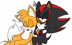 Size: 1778x1101 | Tagged: safe, artist:ilovetails, artist:insaneaboutthislittlefox, miles "tails" prower, shadow the hedgehog, 2025, age difference, arms folded, cute, duo, eyes closed, frown, gay, leaning on them, lidded eyes, mouth open, shadow x tails, shadowbetes, shipping, simple background, sitting, sleeping, tailabetes, white background, zzz