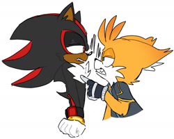 Size: 1956x1565 | Tagged: safe, artist:ilovetails, artist:insaneaboutthislittlefox, miles "tails" prower, nine, shadow the hedgehog, sonic prime, 2025, age difference, arm fluff, clenched teeth, duo, ear fluff, floppy ears, frown, gay, lidded eyes, looking at each other, nine x shadow, pointing, shadow x tails, shipping, simple background, white background