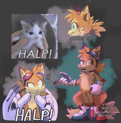 Size: 1600x1630 | Tagged: safe, artist:vilegato, miles "tails" prower, 2022, :<, abstract background, beanbrows, exclamation mark, frown, goggles, hair up, halp, holding them, looking offscreen, meme, mouth open, odd shoes, ponytail, question mark, reference inset, shrunken pupils, signature, smile, solo, tailabetes