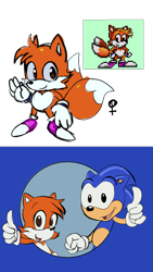 Size: 720x1280 | Tagged: safe, artist:kennedysalivawolf, miles "tails" prower, sonic the hedgehog, adventures of sonic the hedgehog, double thumbs up, duo, gender swap, looking at viewer, pink shoes, reference inset, simple background, smile, tails and the music maker, thumbs up, transparent background