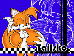 Size: 1024x768 | Tagged: safe, artist:pensuke-kun, miles "tails" prower, oc, oc:tailsko, 2007, breasts, character name, echo background, featureless breasts, gender swap, hands behind head, lidded eyes, looking at viewer, smile, solo, standing, uekawa style, wallpaper