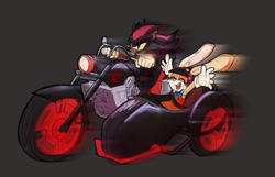 Size: 2048x1318 | Tagged: safe, artist:lavenderbirchtrees, cream the rabbit, shadow the hedgehog, 2025, dark rider, duo, eyes closed, frown, grey background, hands up, helmet, looking offscreen, motorcycle, simple background, smile