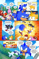 Size: 3000x4578 | Tagged: safe, artist:drawloverlala, amy rose, bokkun, knuckles the echidna, miles "tails" prower, sally acorn, sonic the hedgehog, chipmunk, echidna, fox, hedgehog, hybrid, comic:sonic world travel, angel island, blanket, blue power pattern, cyan power pattern, grapes, kitsune, pink power pattern, red power pattern, robot, sandwich, yellow power pattern