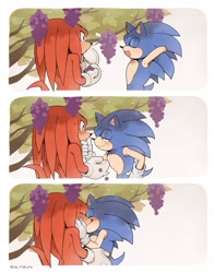 Size: 1612x2048 | Tagged: safe, artist:sk_rokuro, knuckles the echidna, sonic the hedgehog, 2025, abstract background, blushing, duo, food, gay, grapes, holding something, holding them, kiss, knuxonic, leaning in, outdoors, shipping, signature, standing, tree