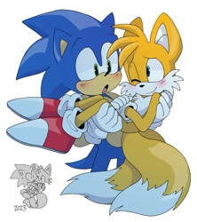 Size: 986x1111 | Tagged: safe, artist:pachirizuu, miles "tails" prower, sonic the hedgehog, 2025, age difference, carrying them, duo, gay, proship, redraw, reference inset, shipping, simple background, sonic x tails, white background